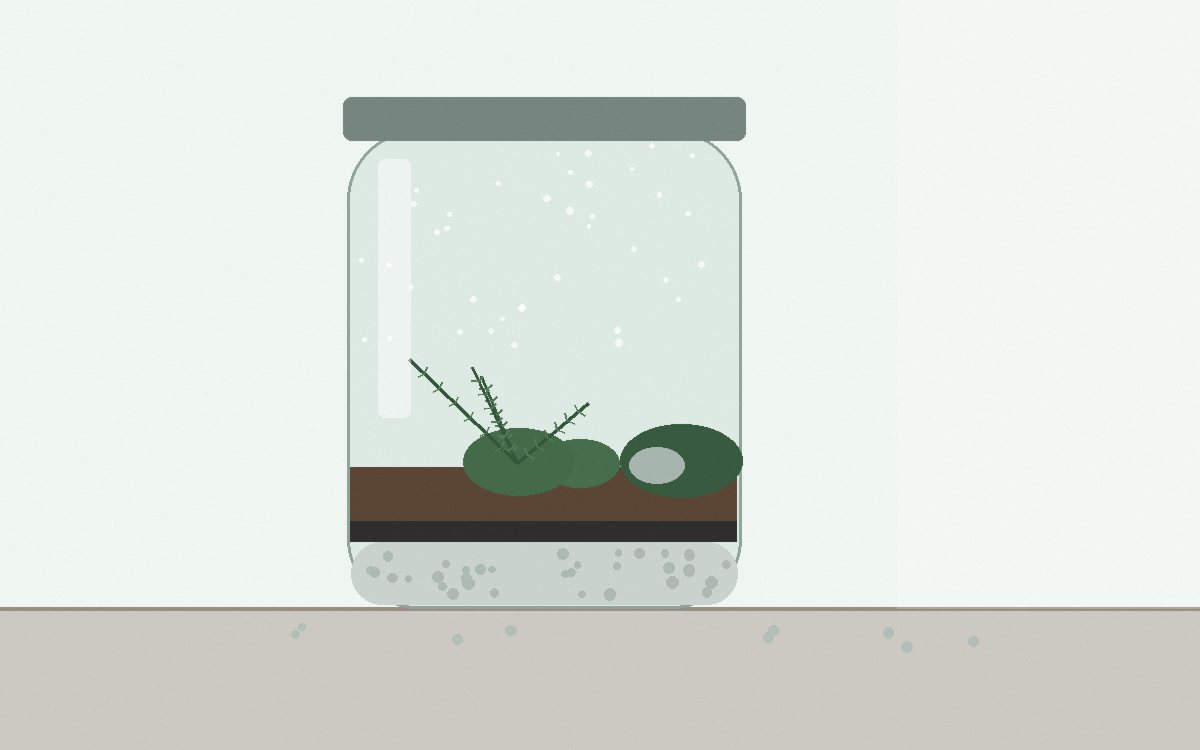 A jar on a shelf a metre back from a bright window, out of direct sun