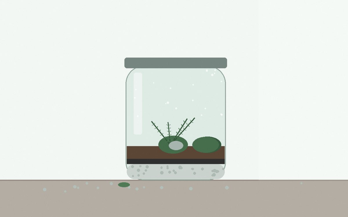 A cotton bud lifting a small patch of white fuzz off a piece of bark inside a jar